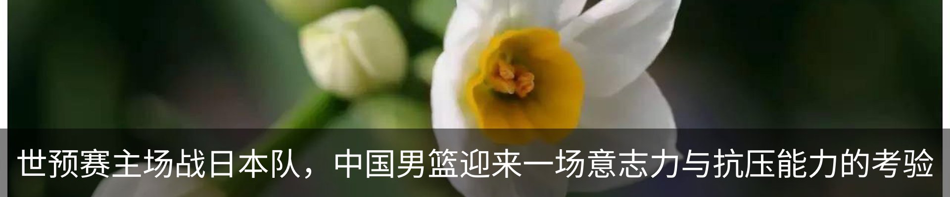 内页banner