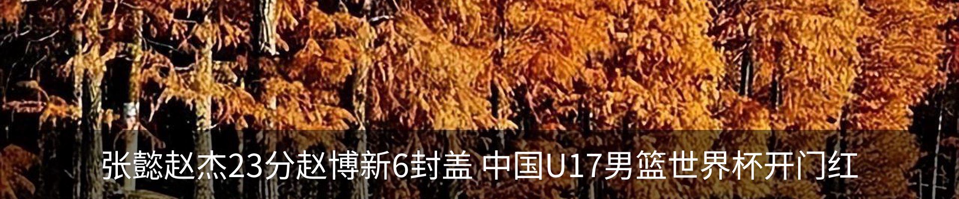 内页banner